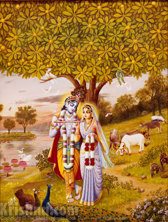 Radha Krishna under a Kadamba Tree