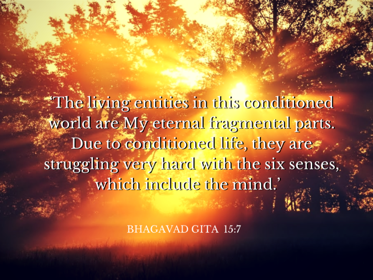 bhagavad-gita-quote-conditioned-living-entities